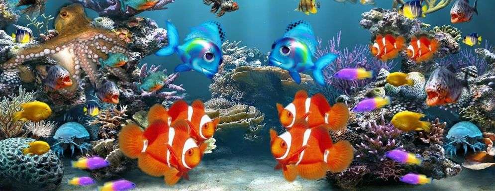 een aquarium veroorzaakt wifi problemen
