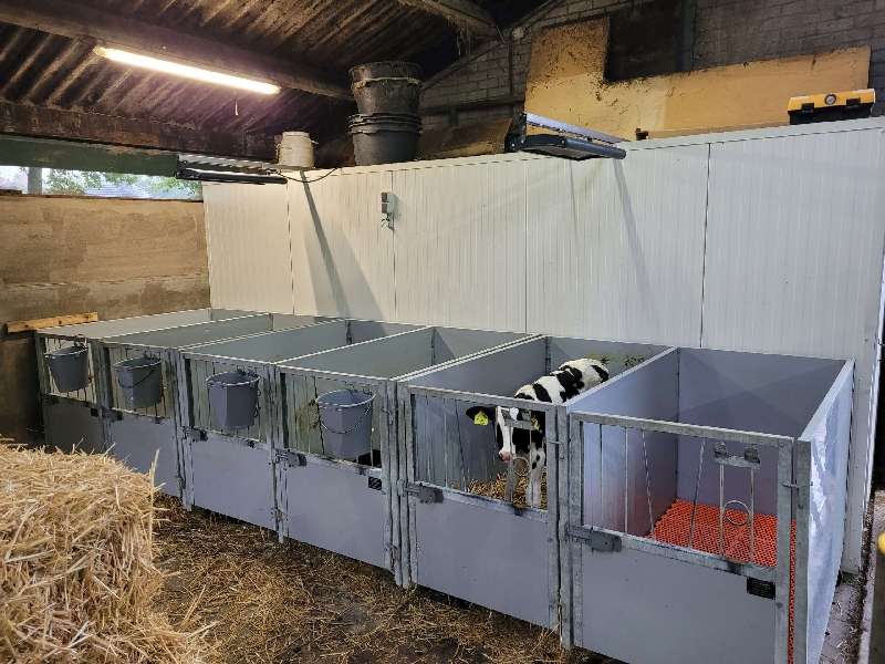 Infrarood heatscreen 1300 watt op boerderij
