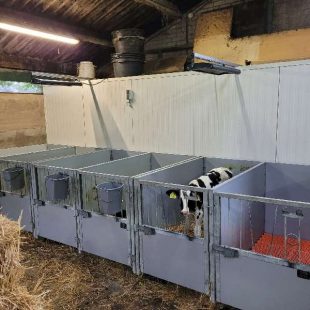 Infrarood heatscreen 1300 watt op boerderij Infrarood heatscreen 1300 watt op boerderij