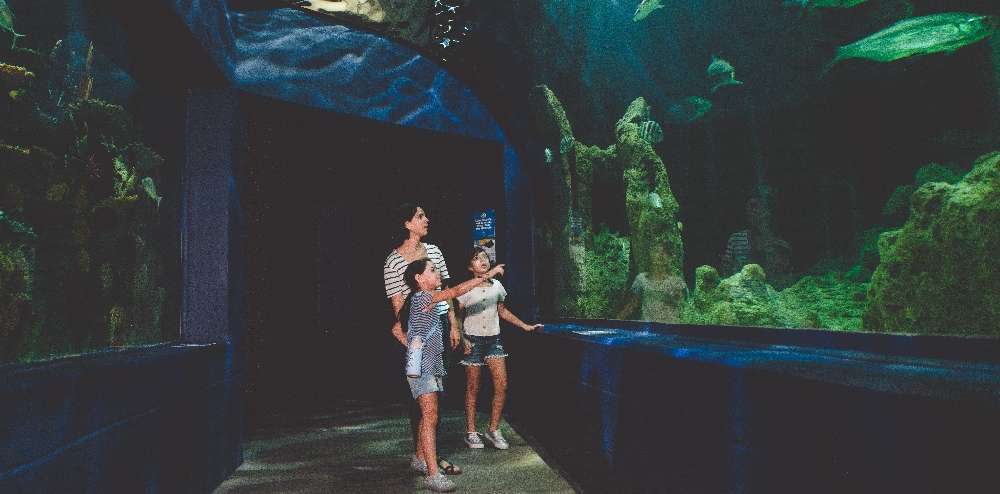 Een aquarium op zonne energie