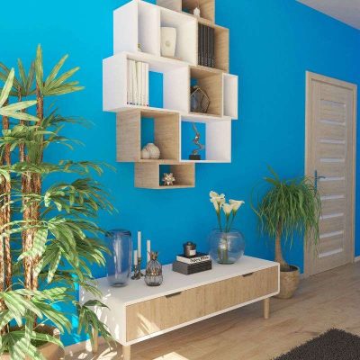 huis koel houden zonder airco met planten