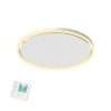 790 Watt rond infraroodpaneel met LED en bedieningsconsole